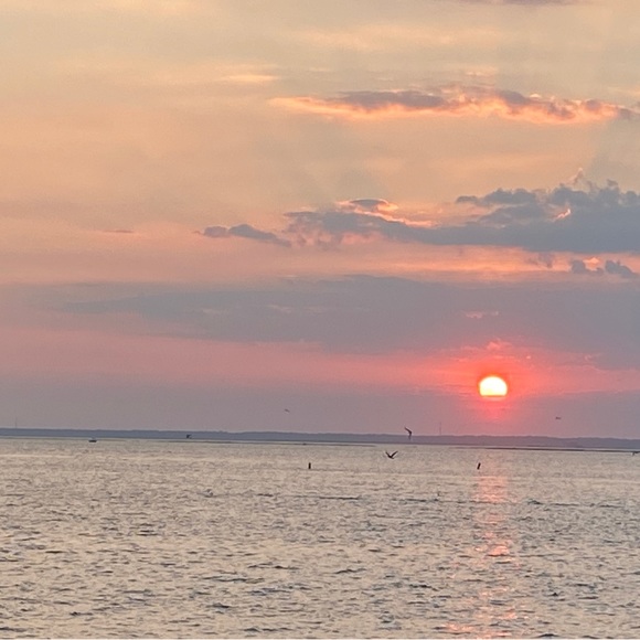 Meet your Posher, Coop - Picture 1 of 1